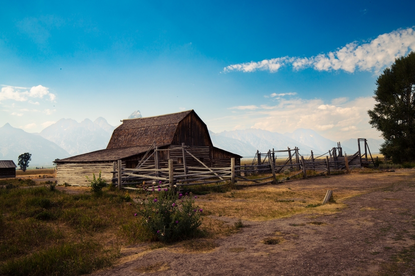 Barn